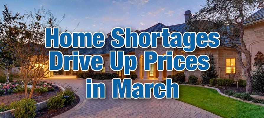 News Sater Design Collection