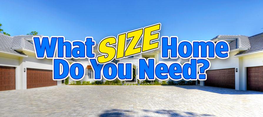 News Sater Design Collection